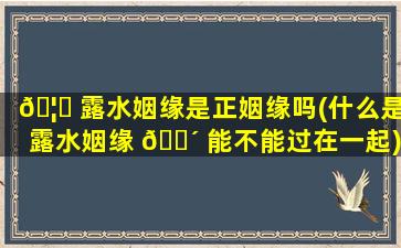 🦅 露水姻缘是正姻缘吗(什么是露水姻缘 🌴 能不能过在一起)